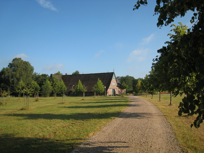 Die neue Grünanlage am Röperhof
